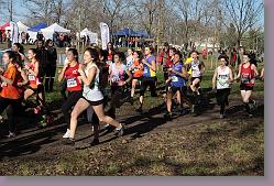 Begles 15.12.13 01 493 * 679 x 453 * (189KB)